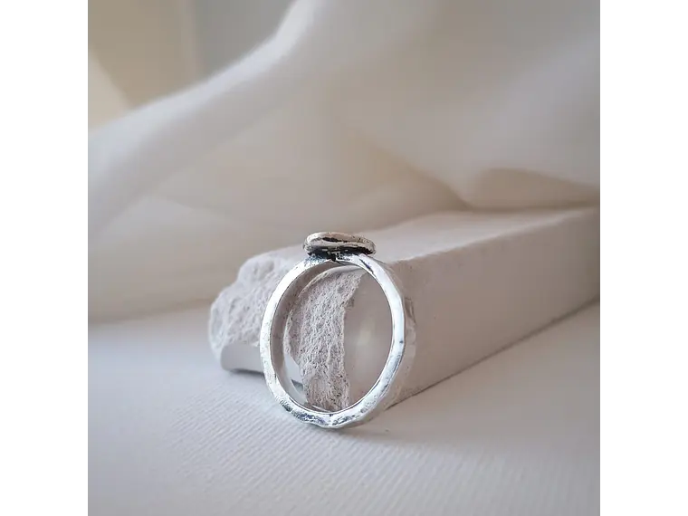 Anillo Raíz 2