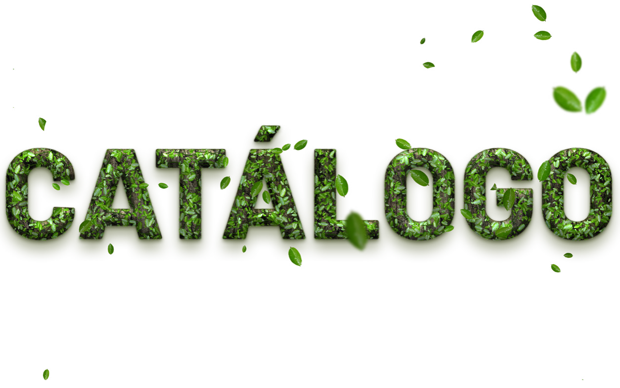 CATÁLOGO