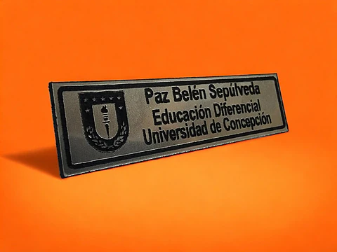 Piocha corporativa