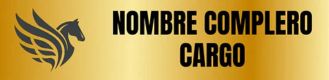 Placa de Casco