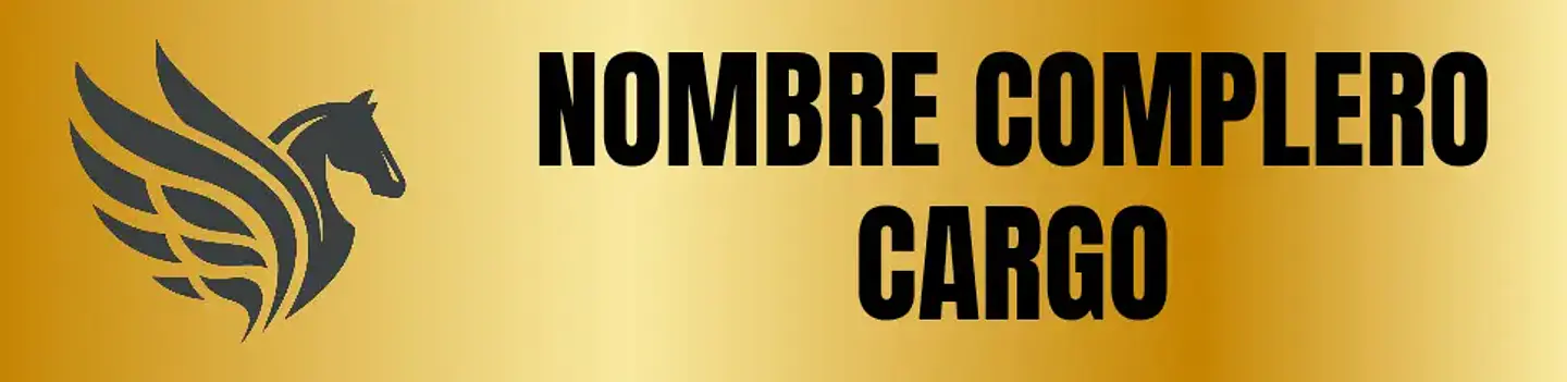 Placa de Casco 2