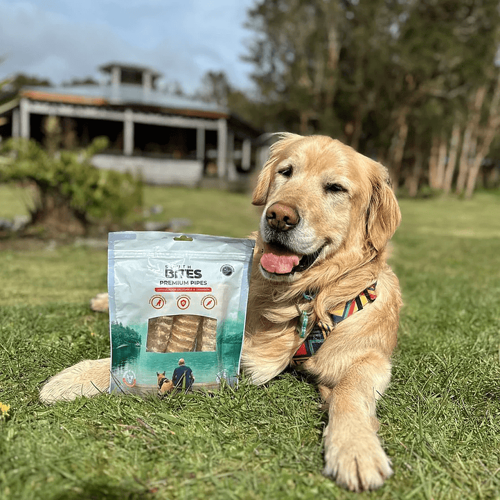 PREMIUM PIPES SOUTHBITES - Tráquea de vacuno 3