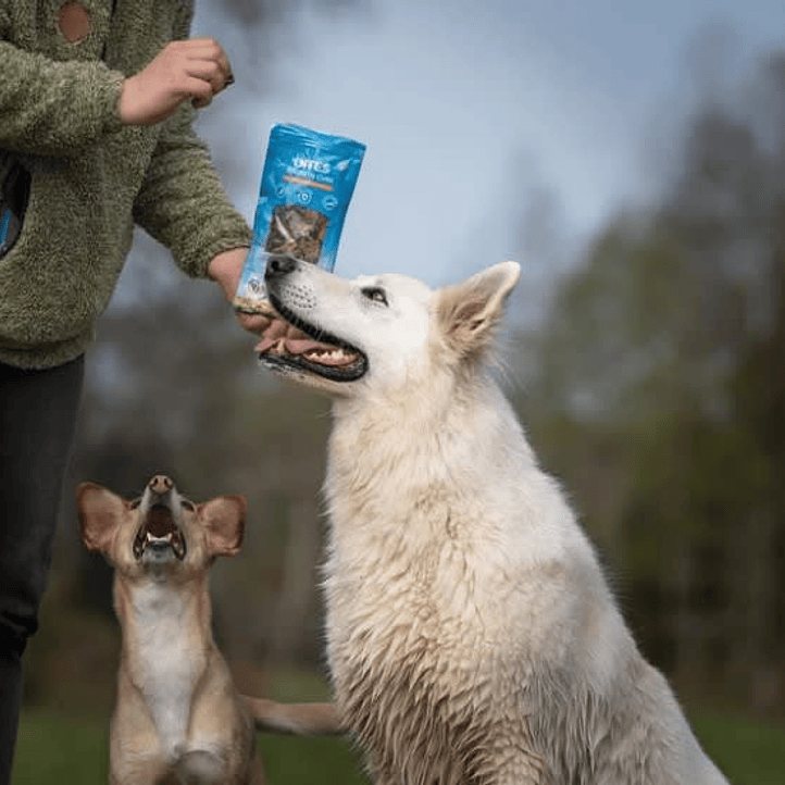 PROTEIN CUBES SOUTHBITES - Pulmón de vacuno 3