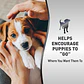Nature's Miracle Advanced Platinum Puppy Potty Training Spray 236 ml | Spray Entrenador de Orina para Cachorros - Miniatura 5