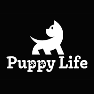 CATDOGERS - Compra todo para regalonear a tu mascota