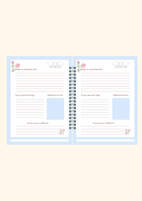 Caderno de gratidão 🩷