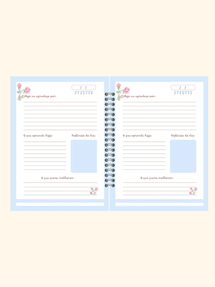Caderno de gratidão 🩷 2