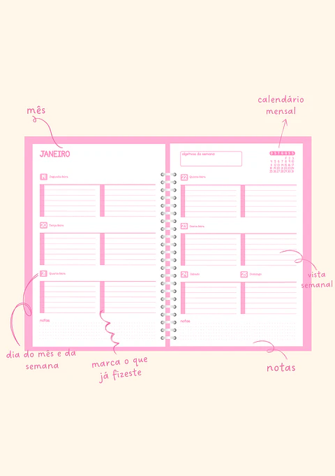Agenda Semanal - Amélia ✨