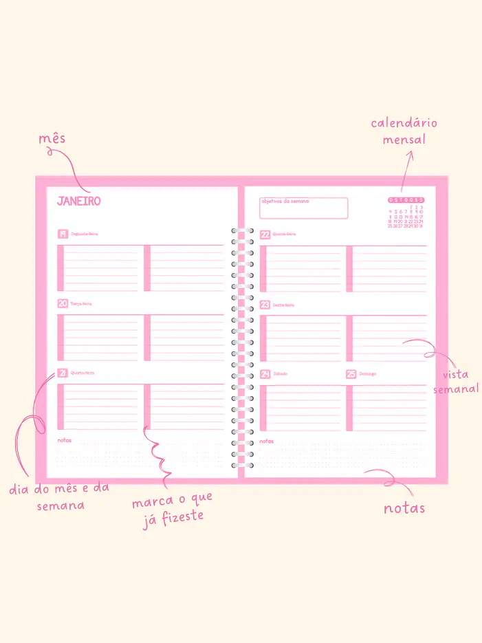 Agenda Semanal - Amélia ✨ 2