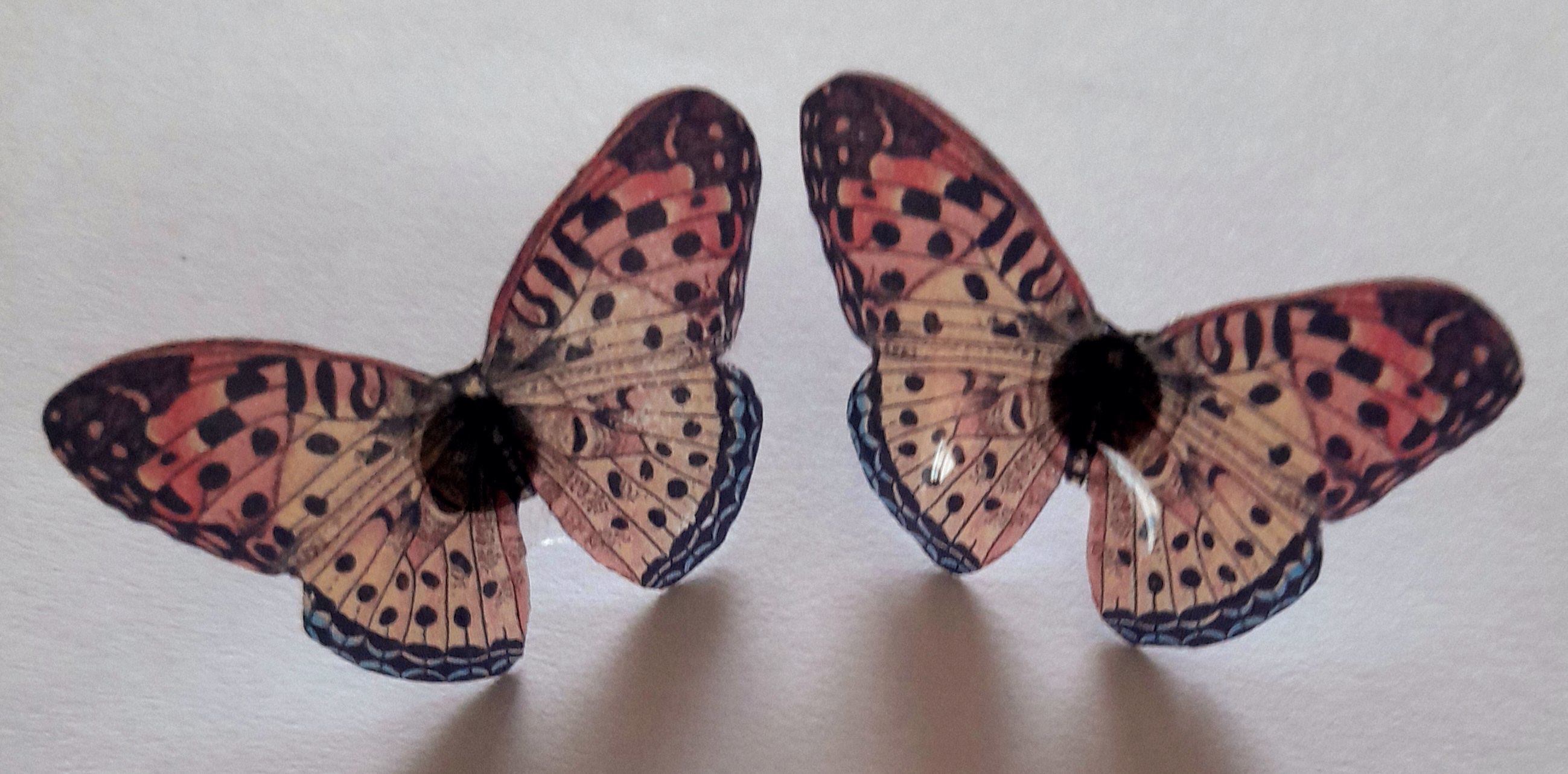 Aros mariposas resina