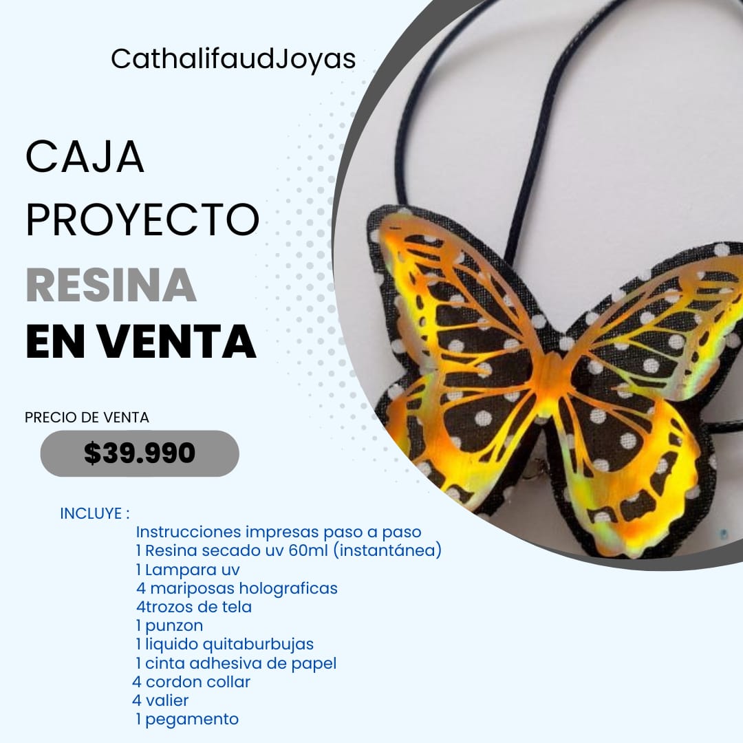 Proyecto mariposas holograficas