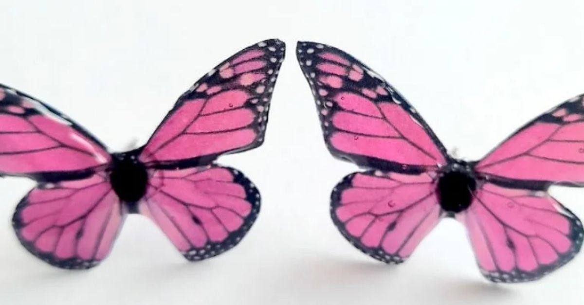 Aros mariposas resina