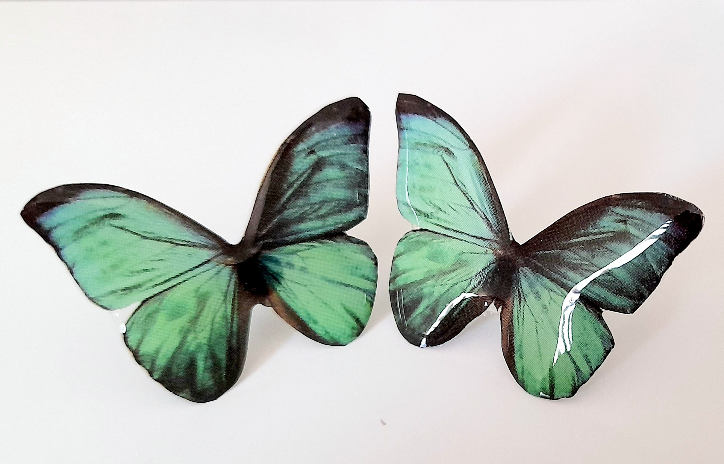 Aros resina mariposas