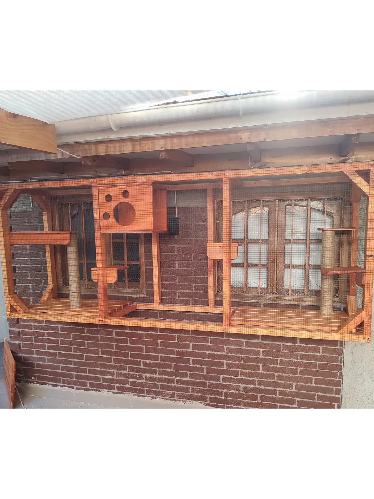 Catio ventana #1 1