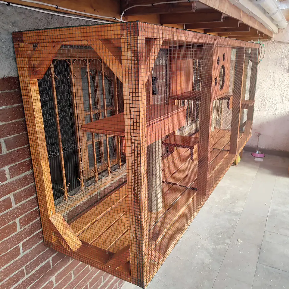 Catio ventana #1 2