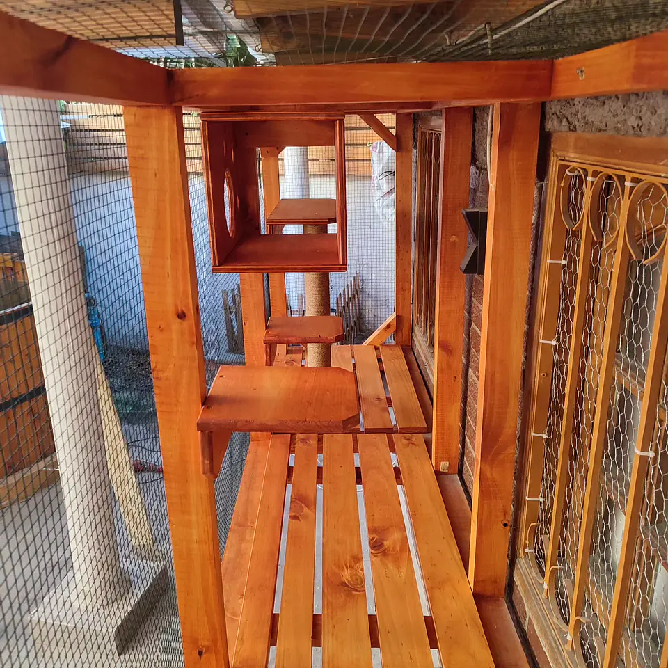 Catio ventana #1 3
