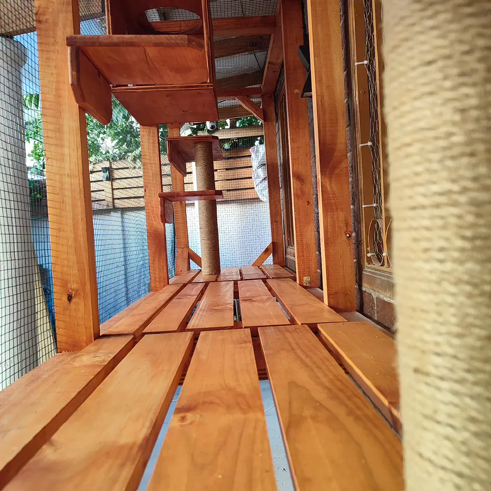 Catio ventana #1 4