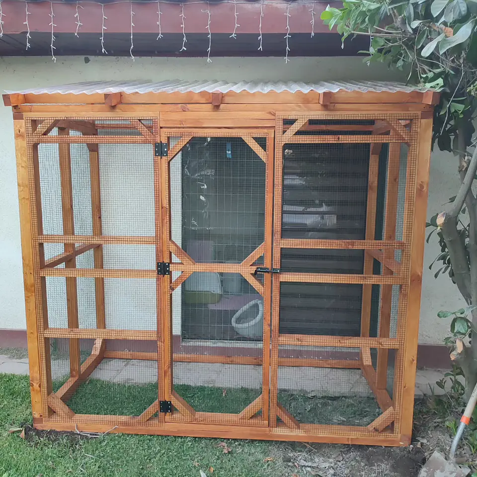Catio  #1 OFERTA  1