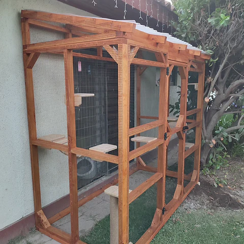 Catio  #1 OFERTA 