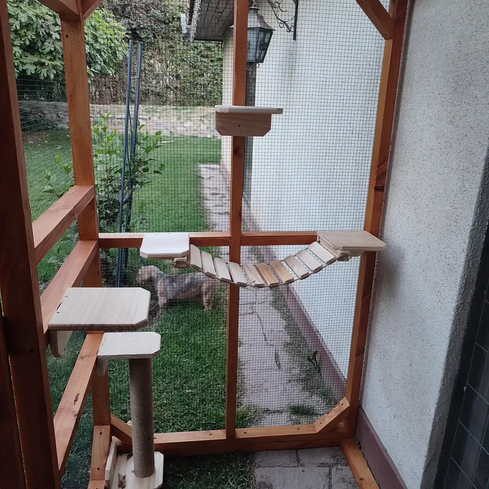 Catio  #1 OFERTA  3