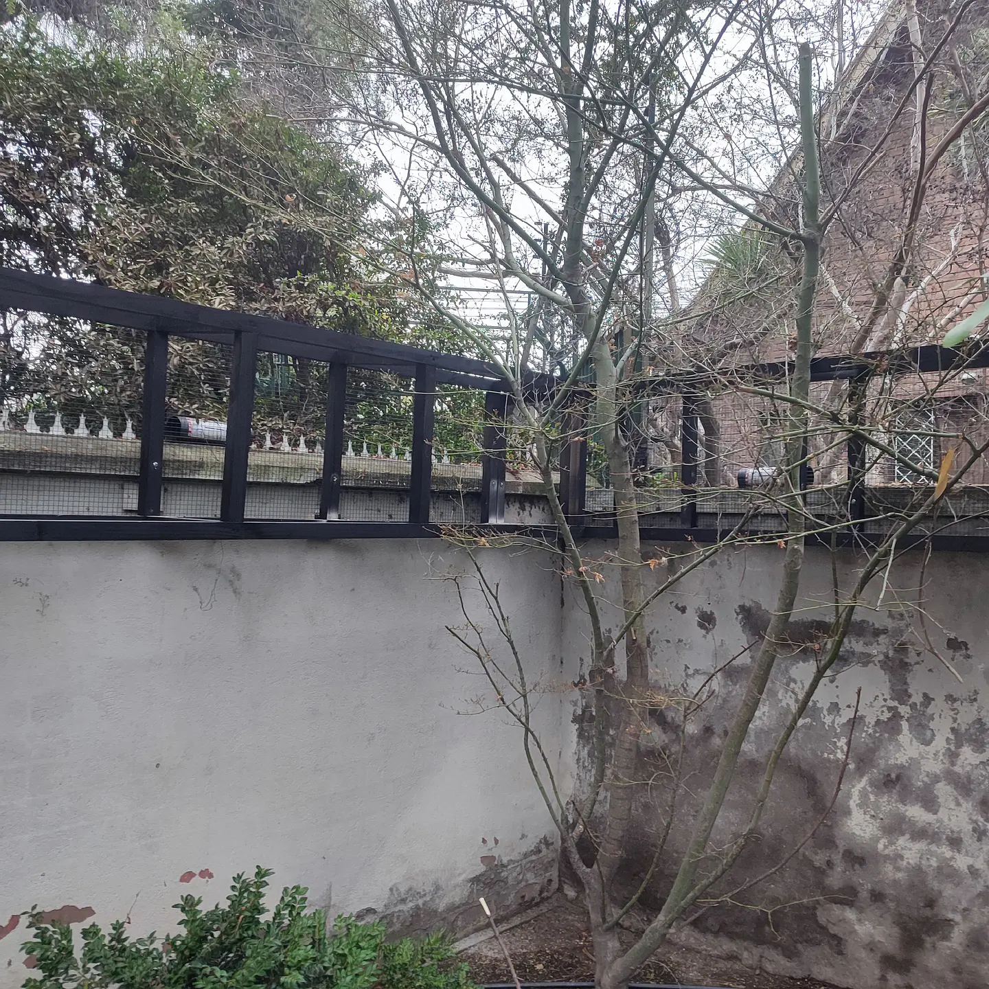 Cotización a domicilio  3