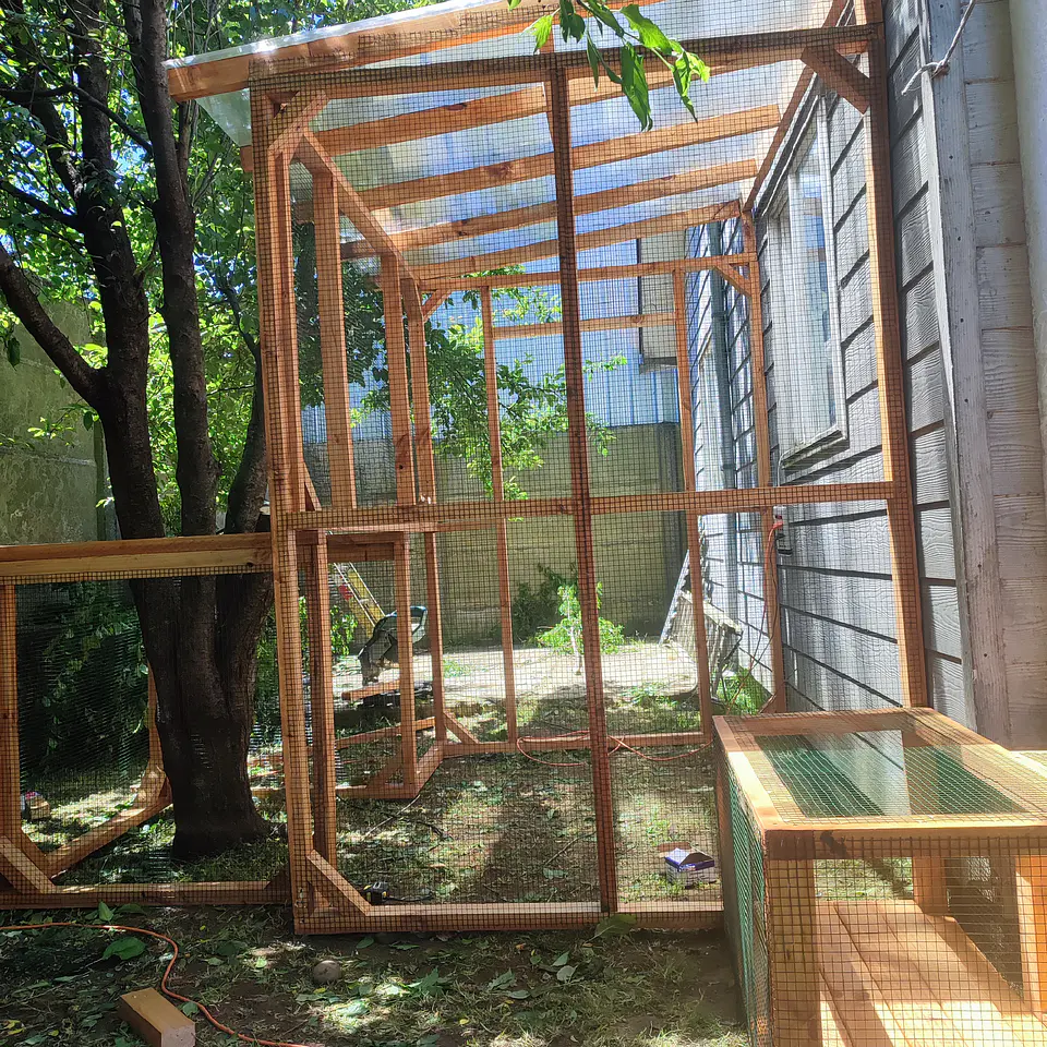 Proyecto Catio La Reina 1