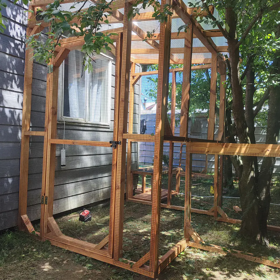 Proyecto Catio La Reina 2
