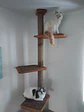 Pilar para gatos 2.30 metros  - Miniatura 2