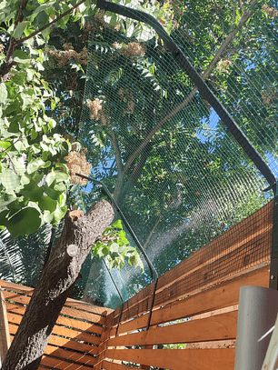 Cierre perimetral Proyecto #28