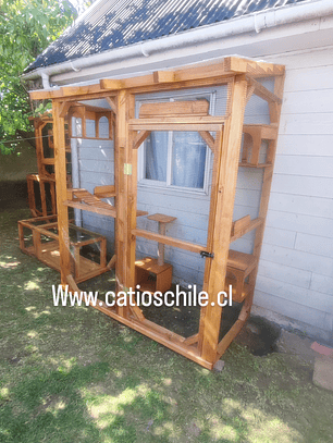 Catio Proyecto #30