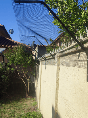 Proyecto cotización  segundo pago #1162