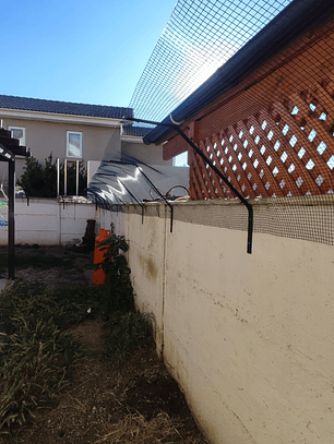 Proyecto cotización #1168