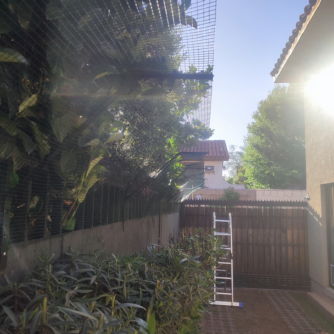 Proyecto cotización #1170 1