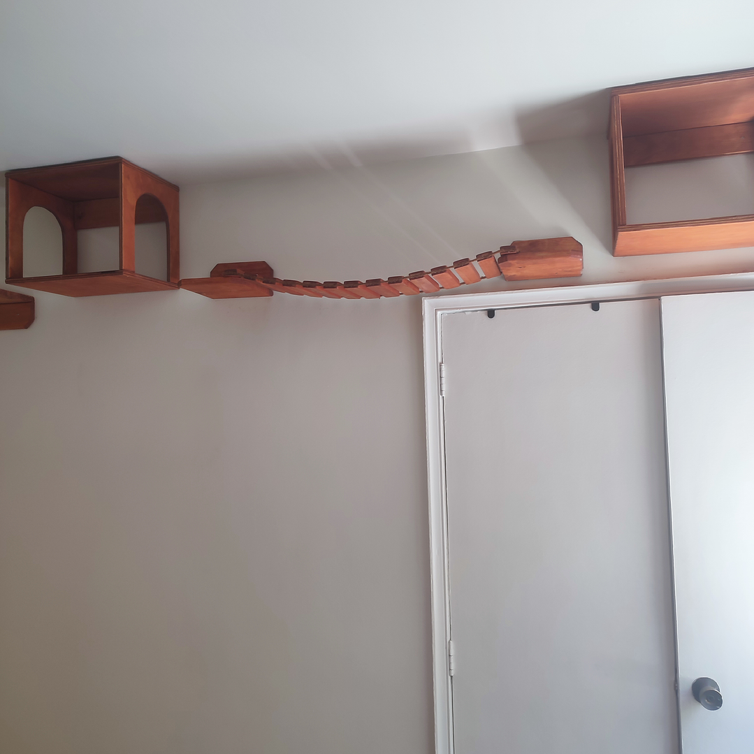 Proyecto orden 1203 1