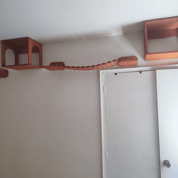 Proyecto orden 1203 1