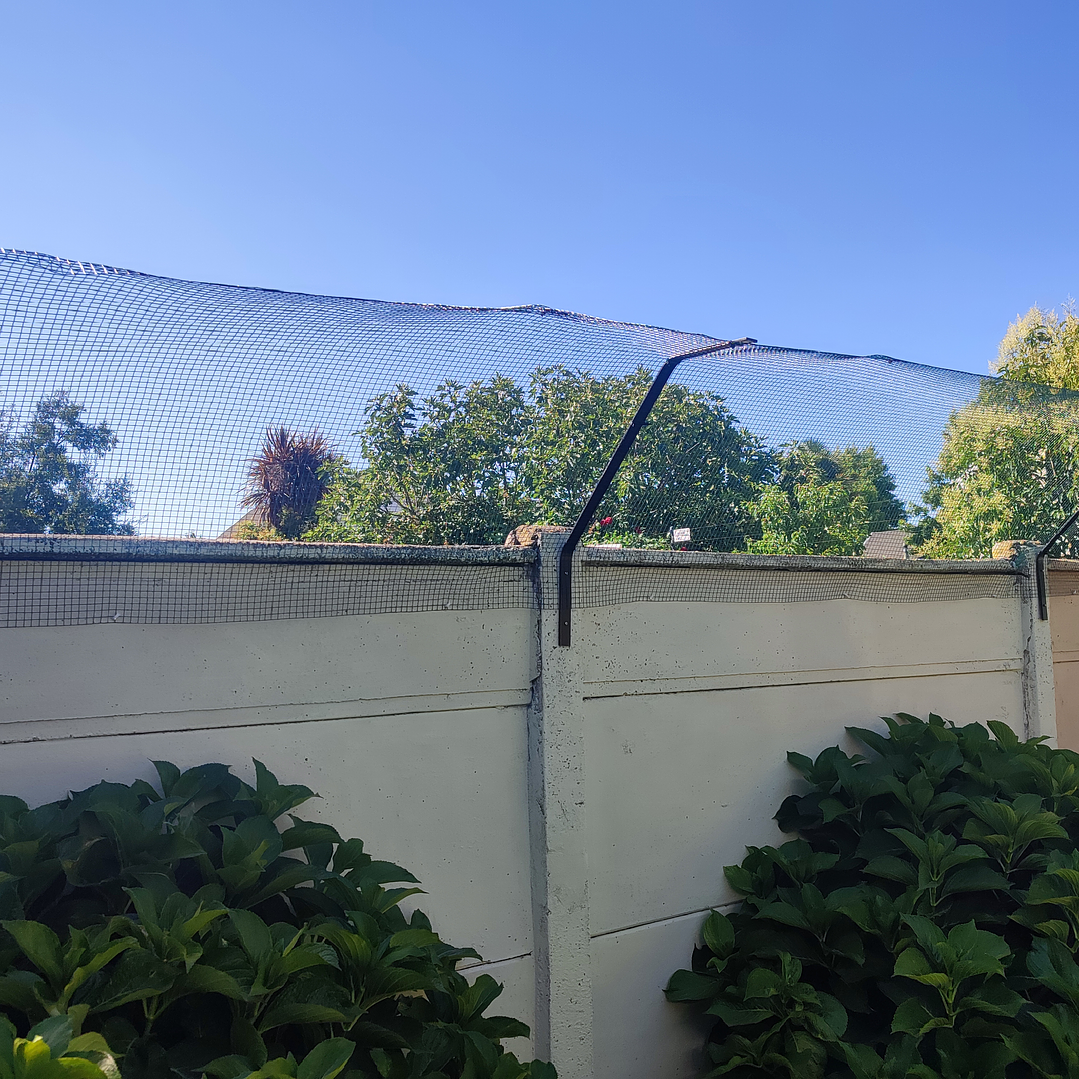 Cierre perimetral árboles Coronel  1