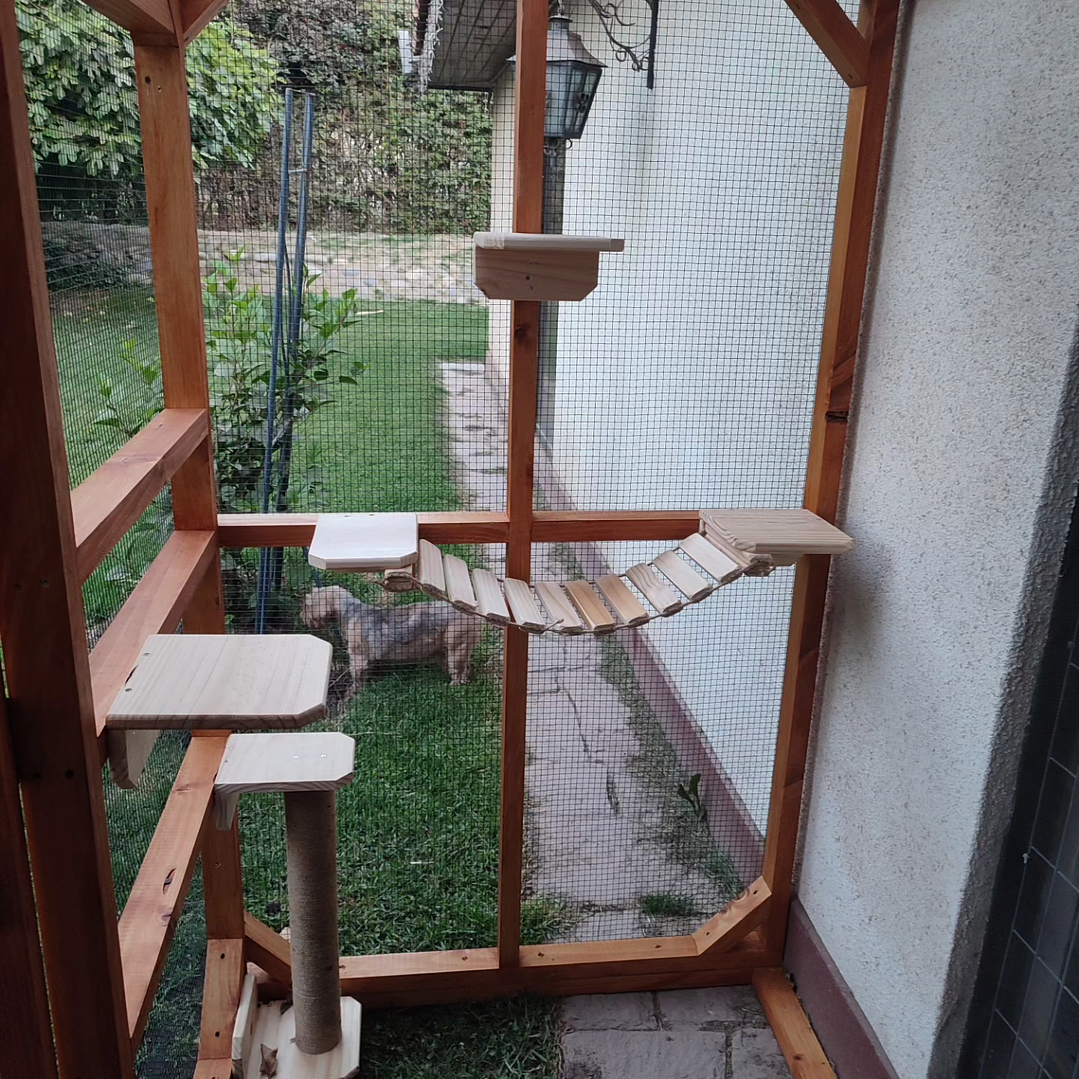 Catios cotización #1123 3