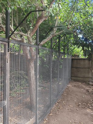 Proyecto Cotización 1218