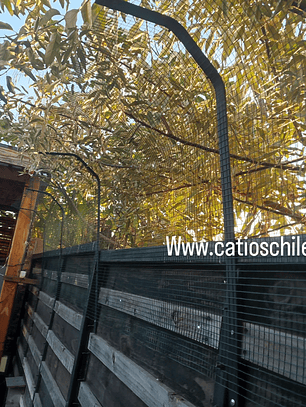 Proyecto cotización Concón 