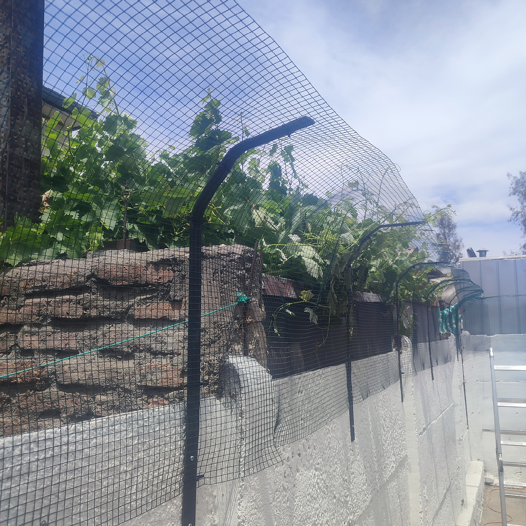 Proyecto cotización Concón  2