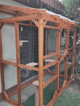 Catio Oferta 
