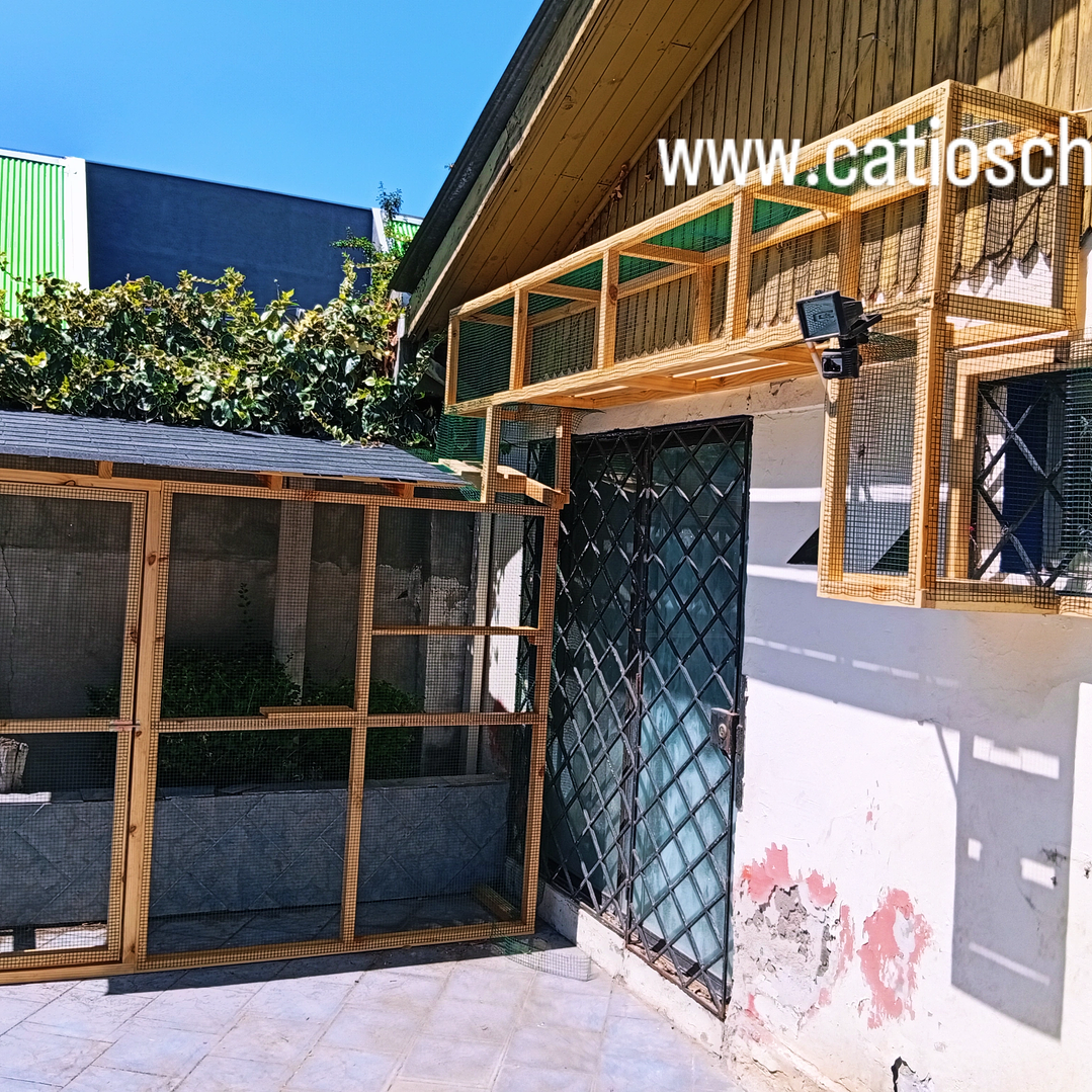 Proyecto cotización 1230 1