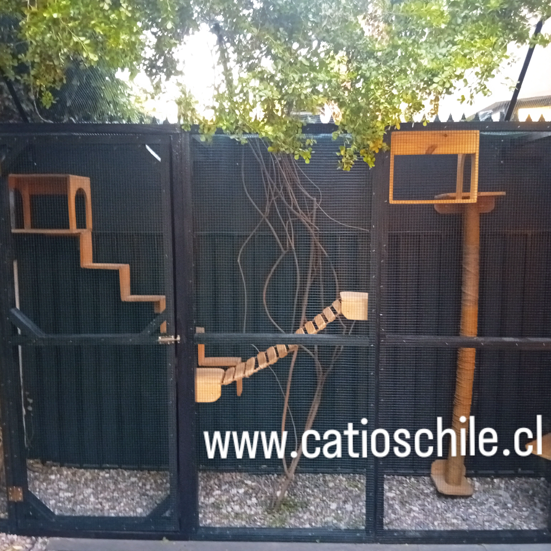 Proyecto cotización 1230 3