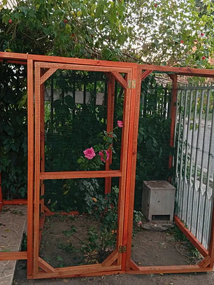 Proyecto cotización 1230