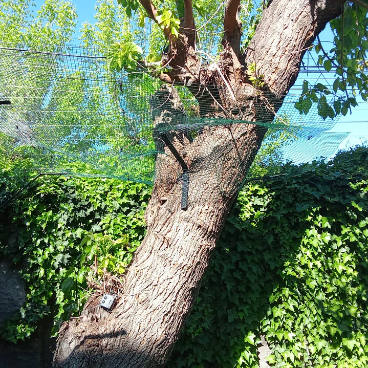 Cotización Quilicura 3