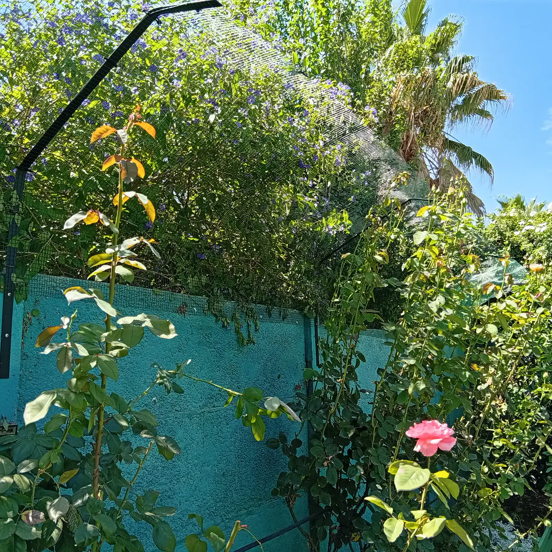 Proyecto Puente alto 6 metros  1