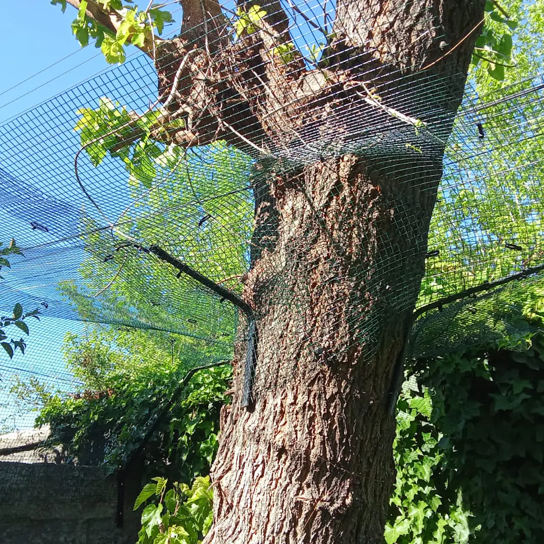 Proyecto La Florida  2