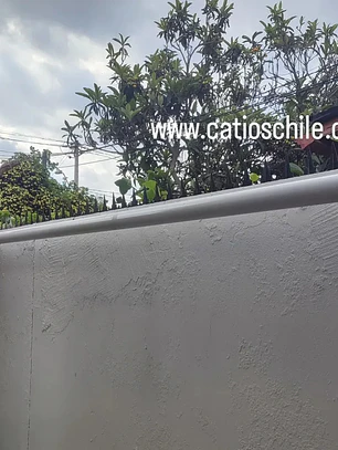 Pedido rollers antiescape
