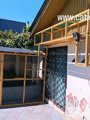 Proyecto Cotización 1305