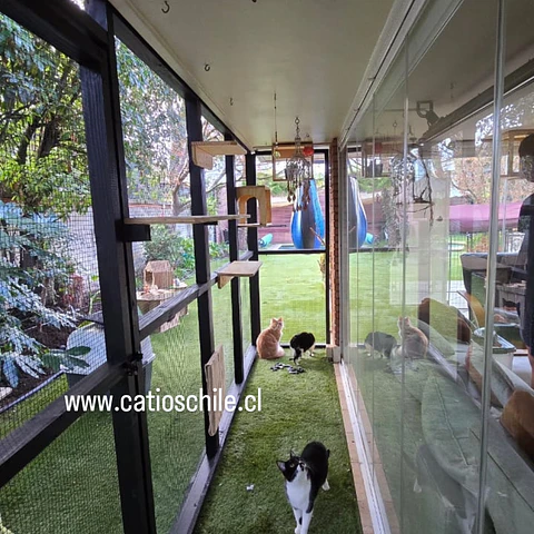 Catio La cisterna 